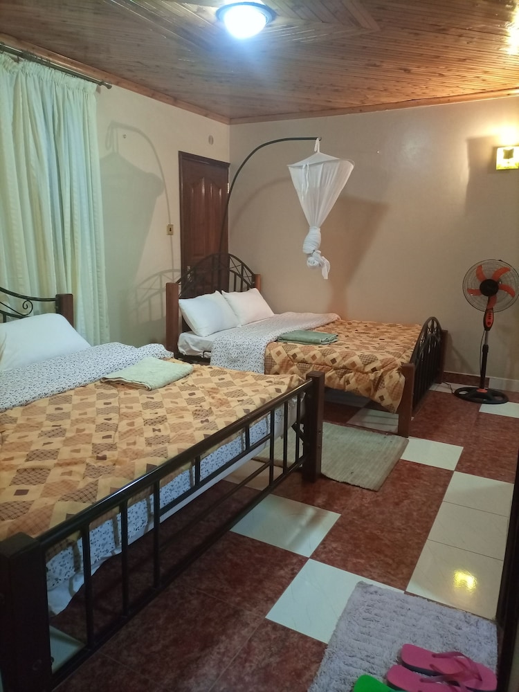 Palm Airport Suites