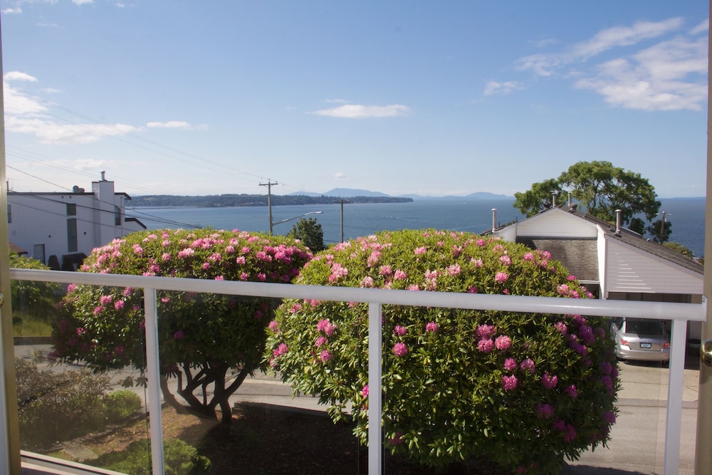 Star of the Sea Guest House