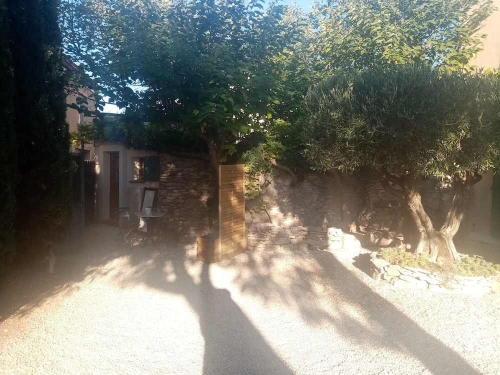 Photo 23