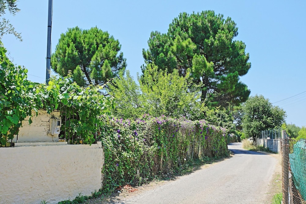 Dalia Apartment in Corfu view 5