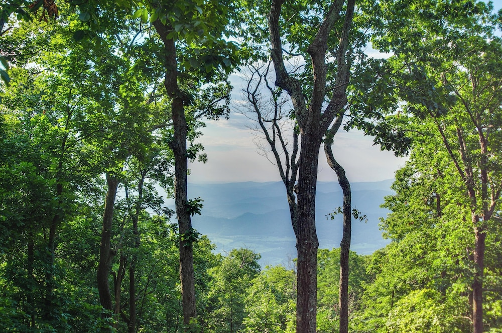 Serene Hideaway With Views, 1 Mi to Hike & Ski! view 3