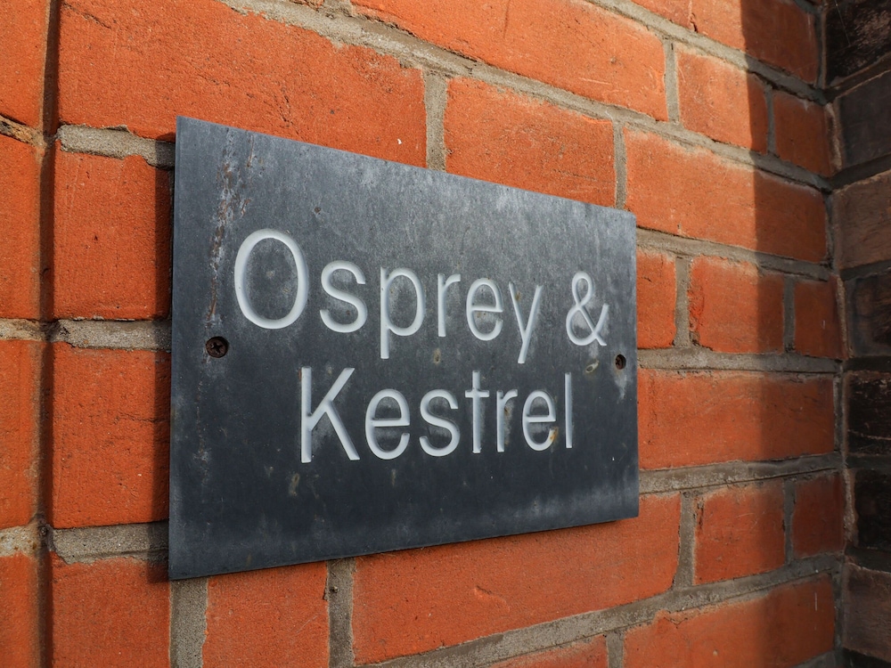 Kestrel