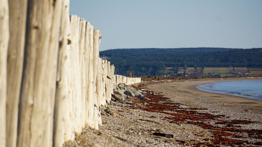 Camp de Base Gaspésie