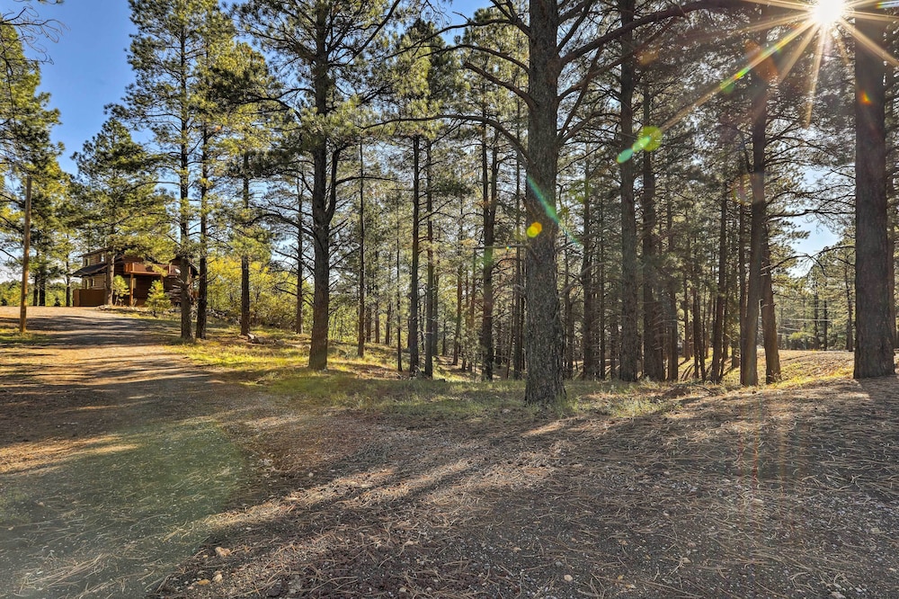 Secluded Flagstaff Apartment on 4 Acres w/ Deck! view 3