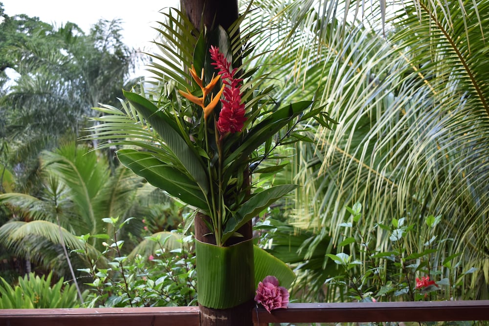 A Peace in Paradise