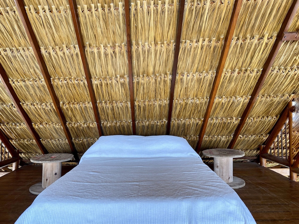Camatajua House By Wynwood House