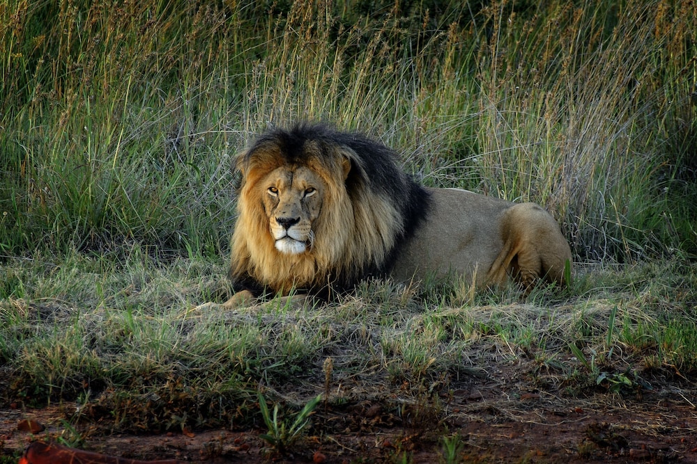 Photo 40