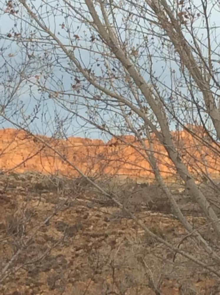 Moab Beds and Bagels Xpress