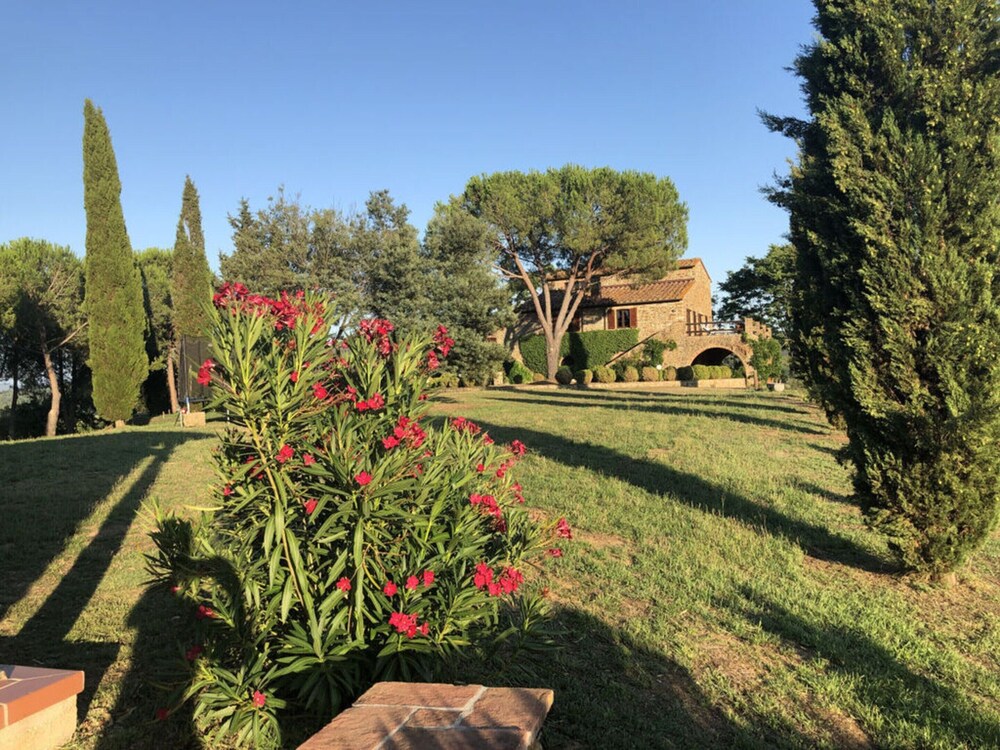 Photo 17