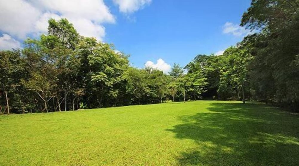 Photo 27