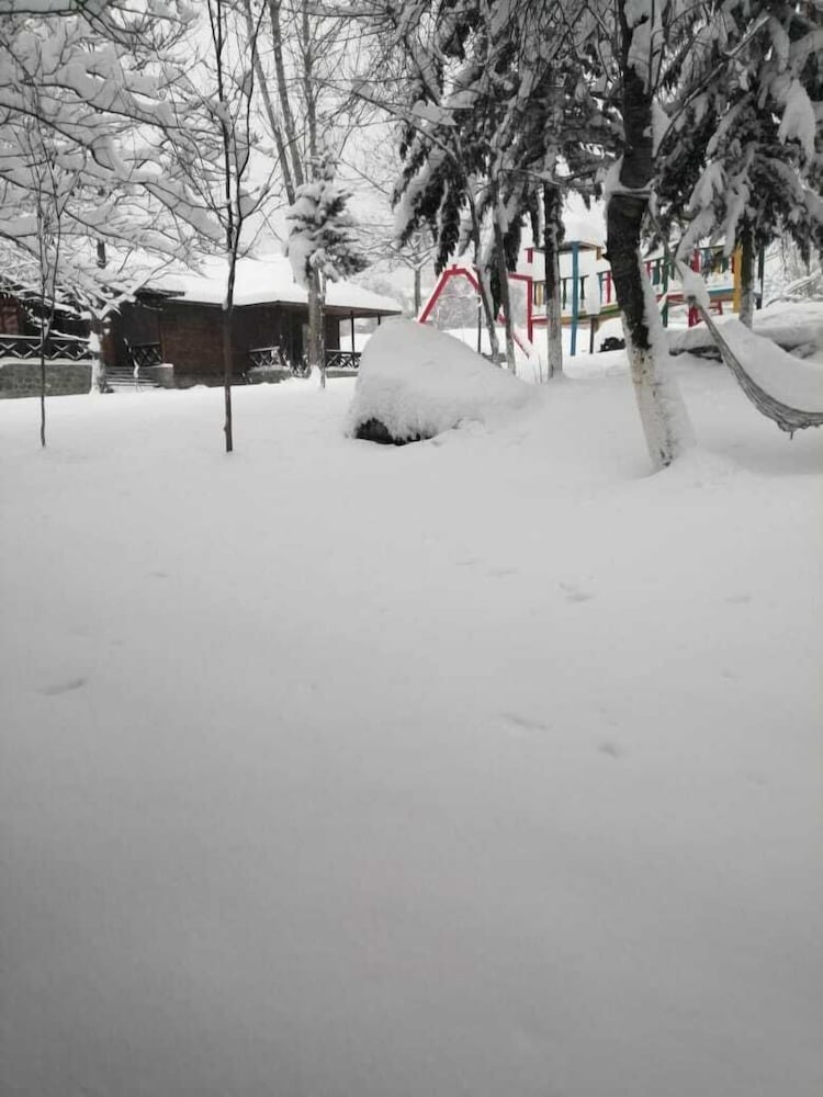 Photo 12