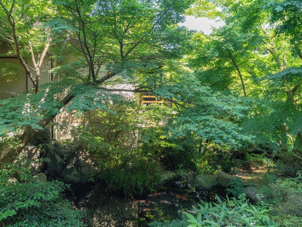 Narashino no sato Gyokusui -6 years or older-