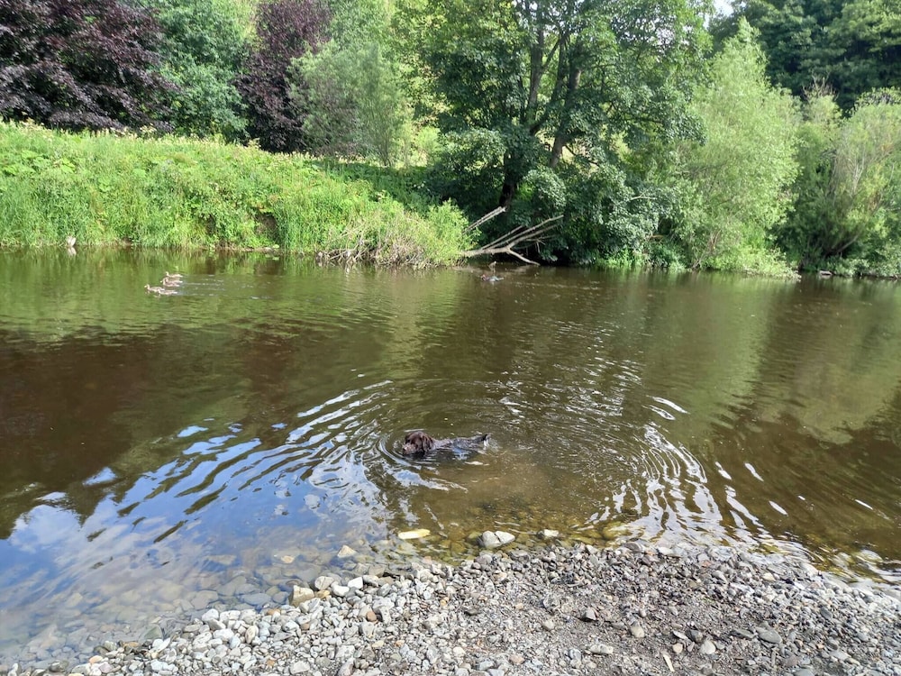 The Hive on the River Bank