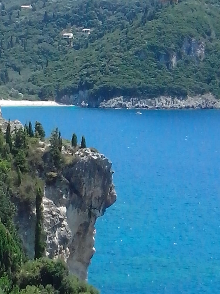 Photo 41