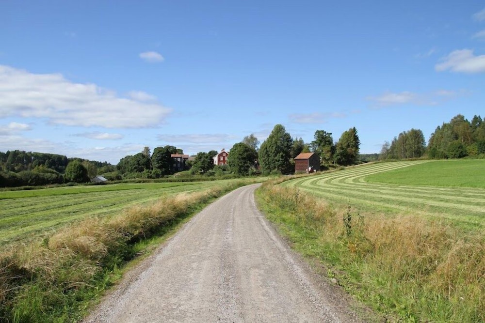 Frägsta Hälsingegård Bed & Breakfast view 4