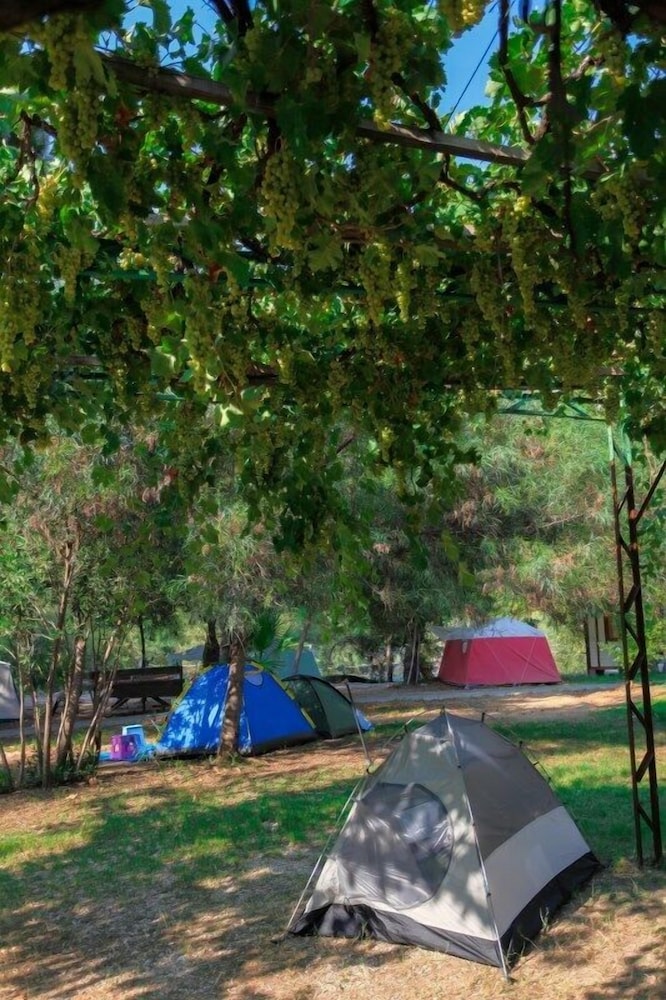Gorge Club Saklikent - Campsite