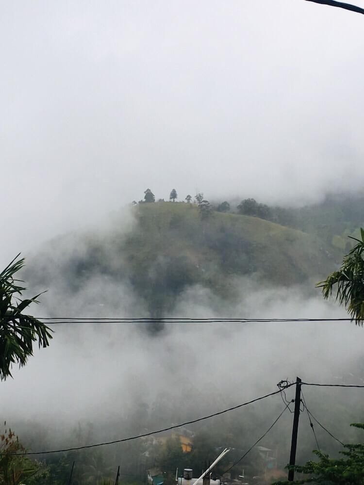Adannz view