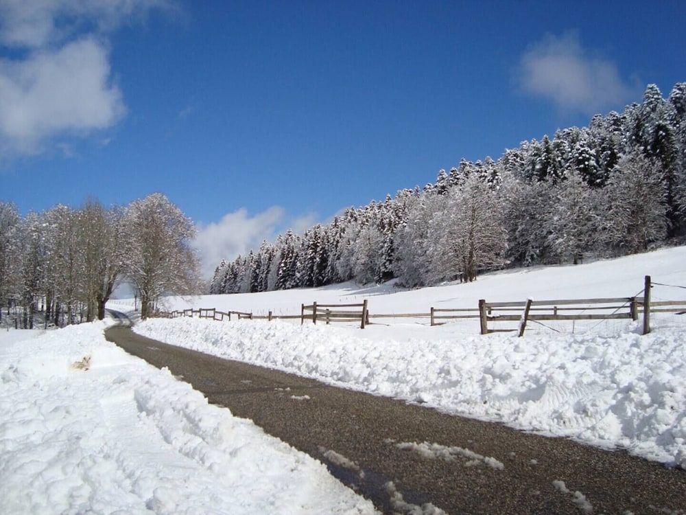 Vercors Intense