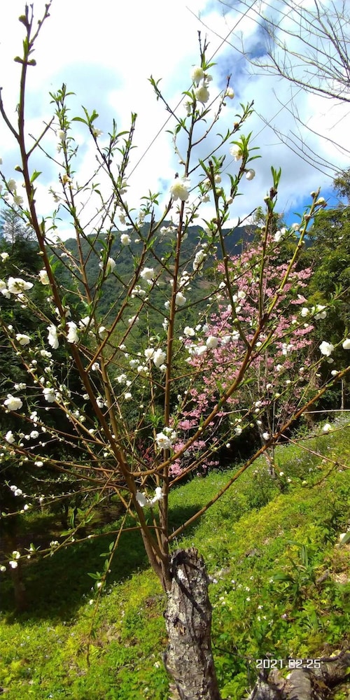 Photo 47