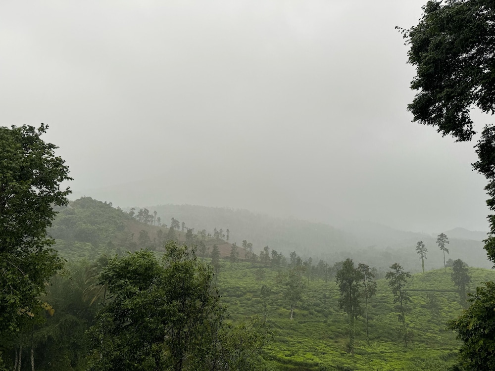 Mountain Serenity