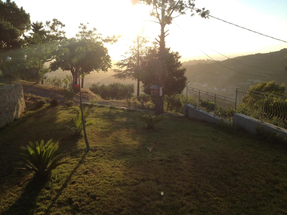 Photo 40