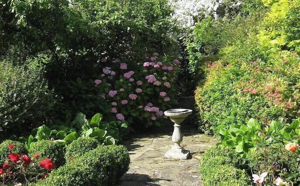 Photo 25