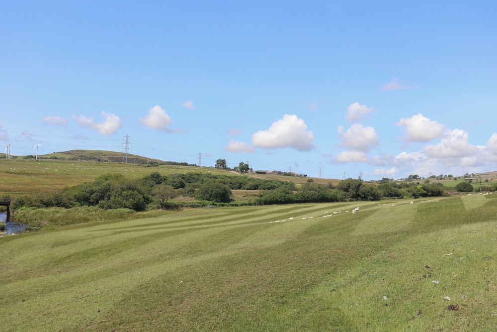 Bwthyn Derwin Fawr