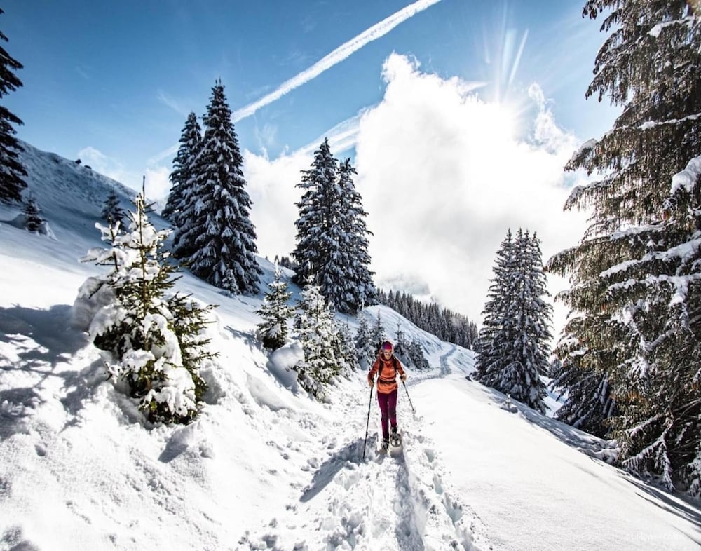 Apartment in Chatel Near Lac de Vonnes