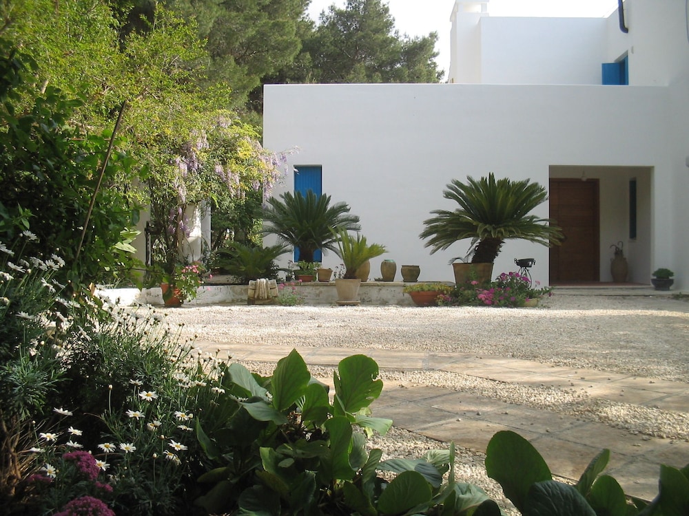 Photo 14