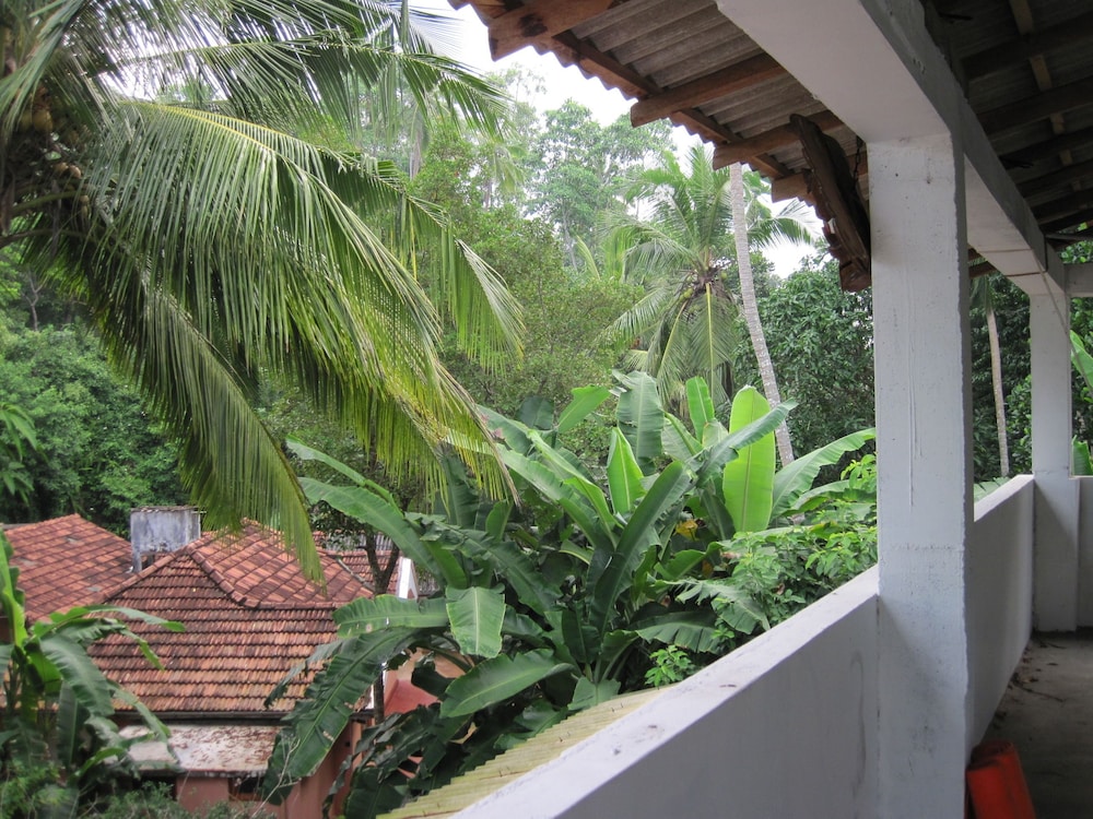 Jungleside House