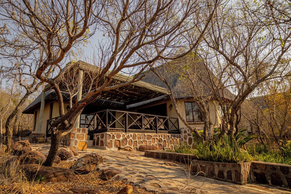 Room in Guest Room - Mmakuba Private Game Lodge, Deluxe Chalet 8A