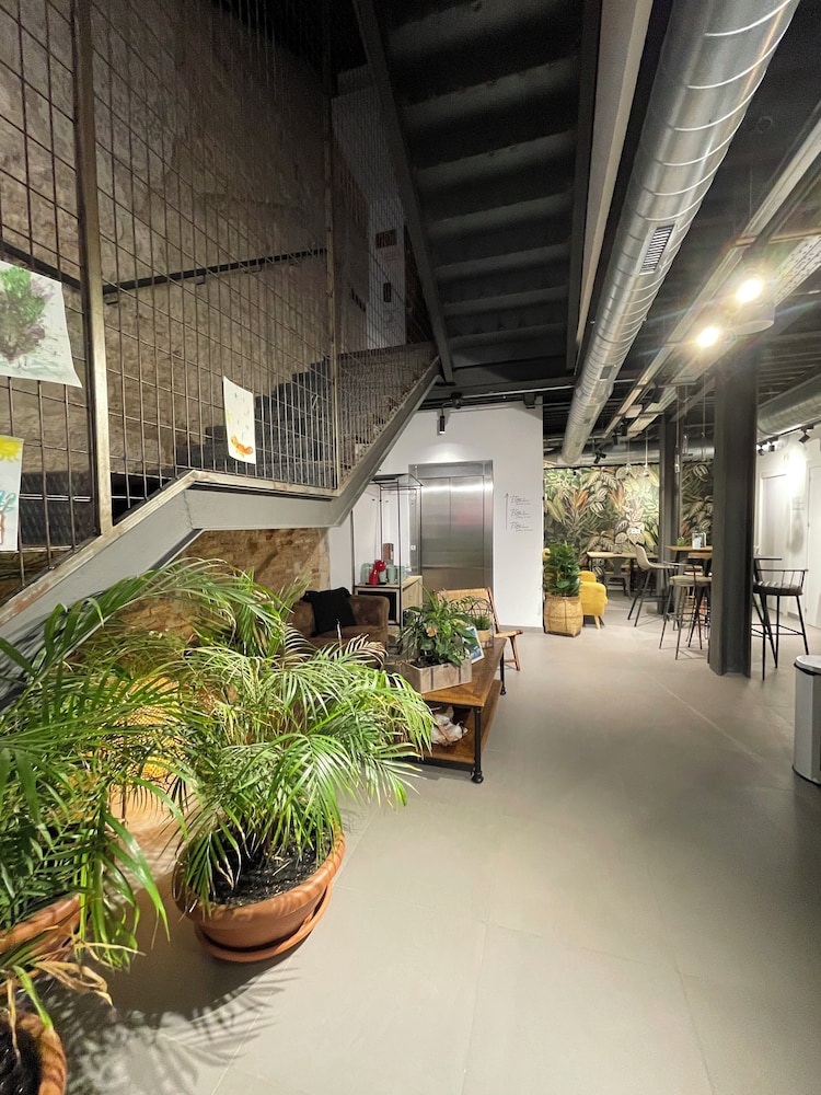 VTZ The Botanic Hostel