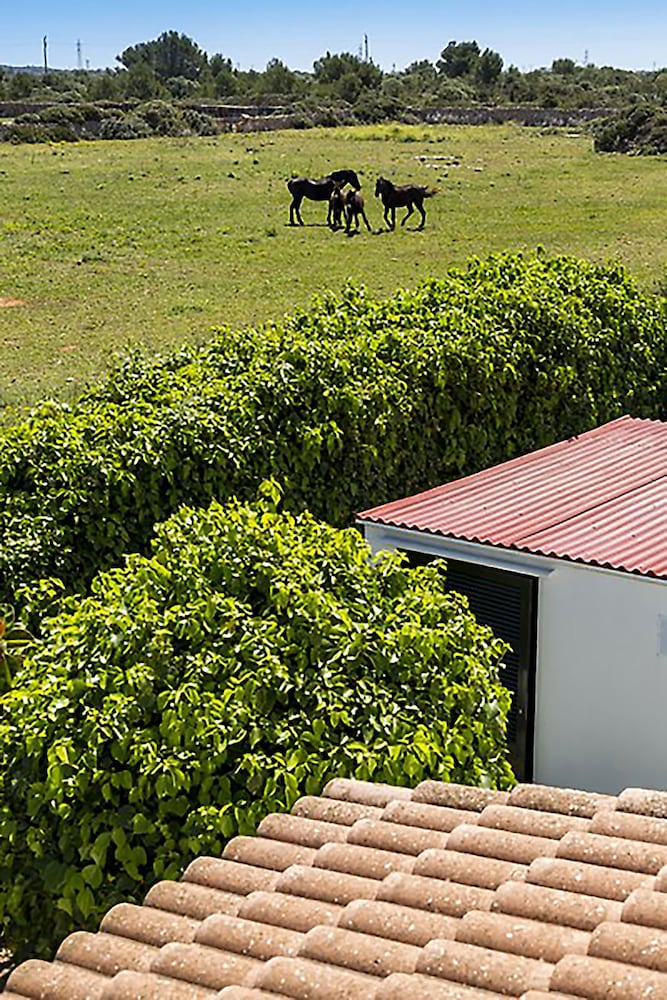 Ciutadella de Menorca Vacations - Casas Menorquinas - Property Image 15