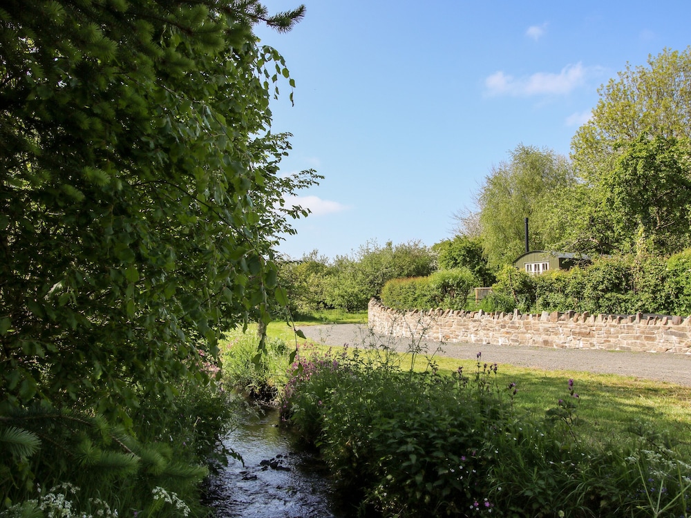Mucklewick Hollow