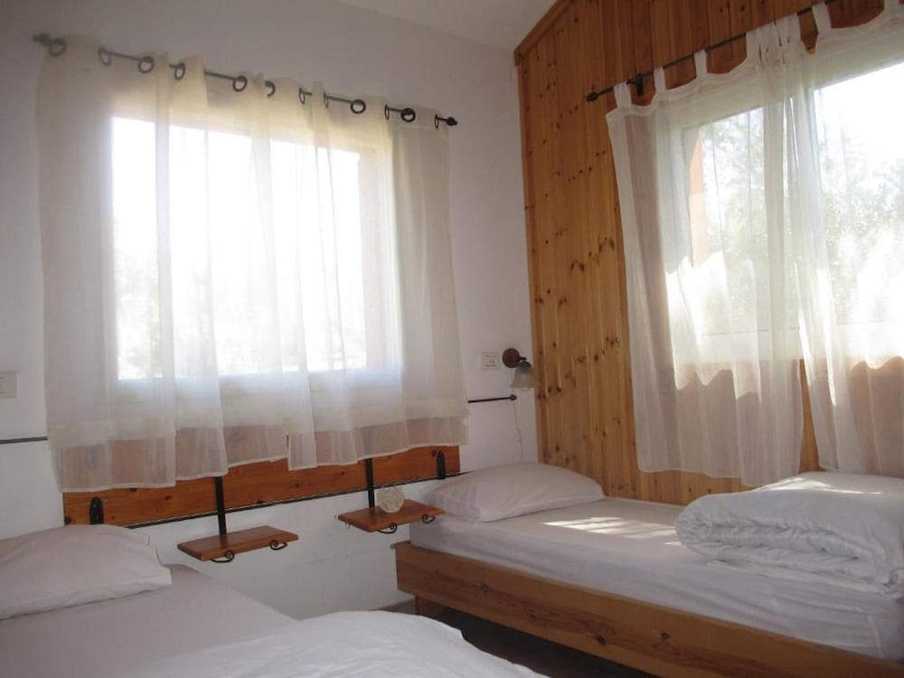Photo 42