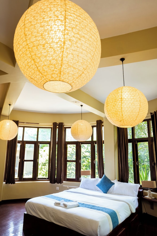 Krazy Gecko Resort