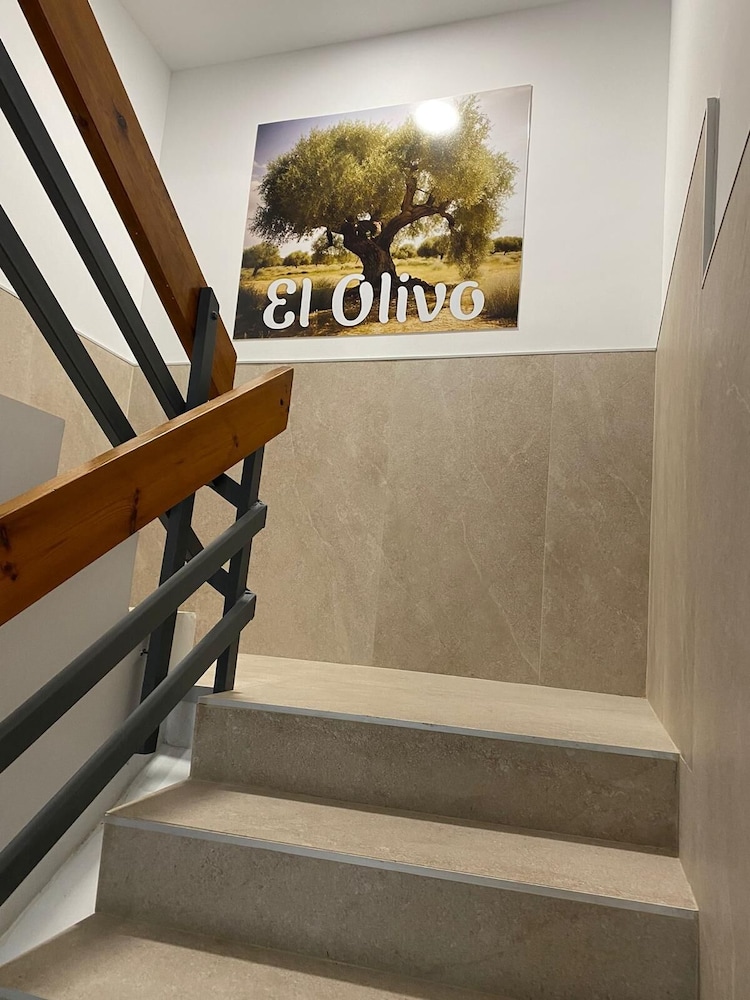 Hostal el olivo