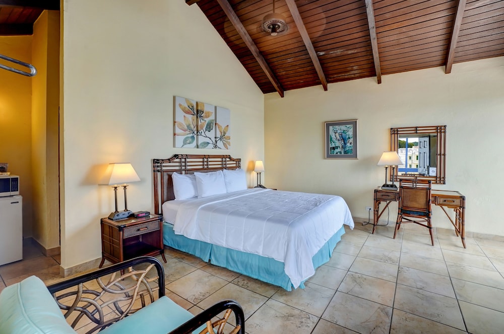 St Croix Vacations - Holger Danske Hotel - Property Image 5