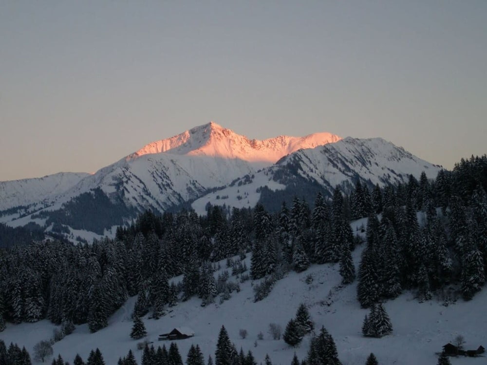 5 BR Gstaad Paradise View Chalet With Outdoor Jacuzzi