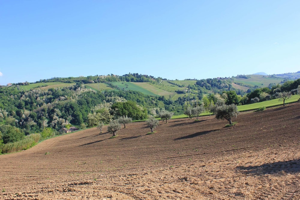 Agriturismo La Vecchia Fonte