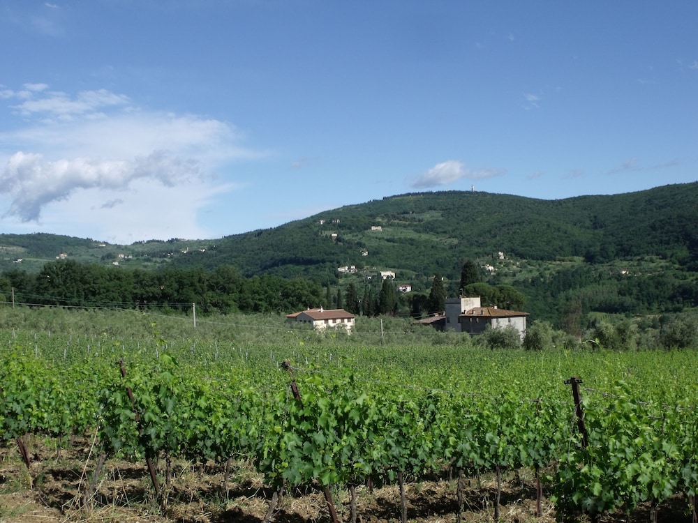 Il Viaio