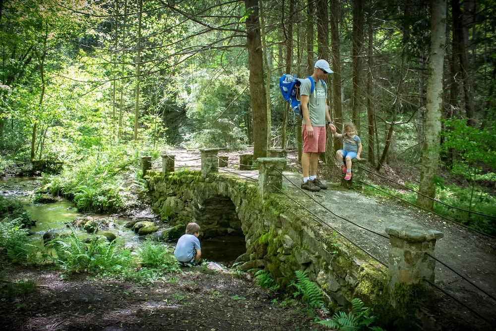 Cove Creek Overlook