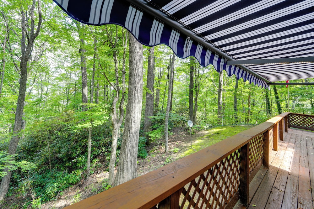 Smoky Mtn Cabin, 7 Mi to Cataloochee Ski Area!
