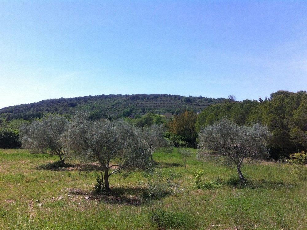 Country House in Orb Mountains Near Salagou Lake, photo 14