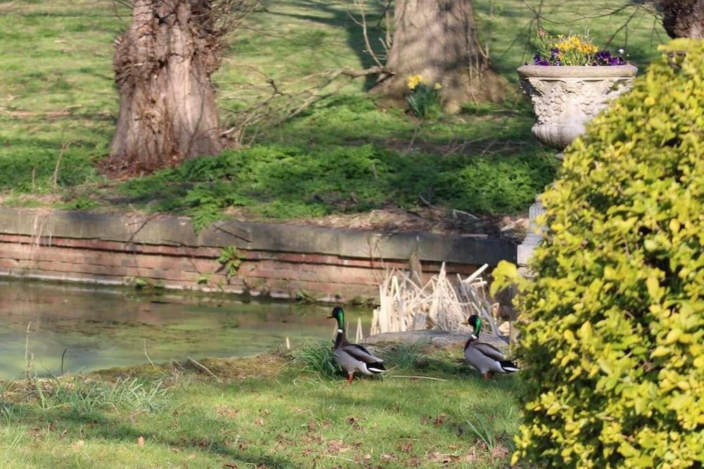 Mansion Annexe - Private 5 Acres-stunning Grounds