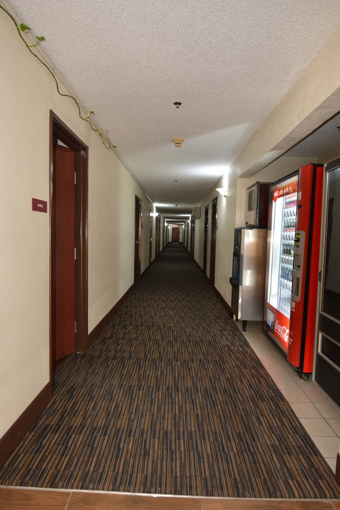Photo 39
