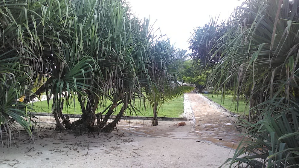 Photo 49