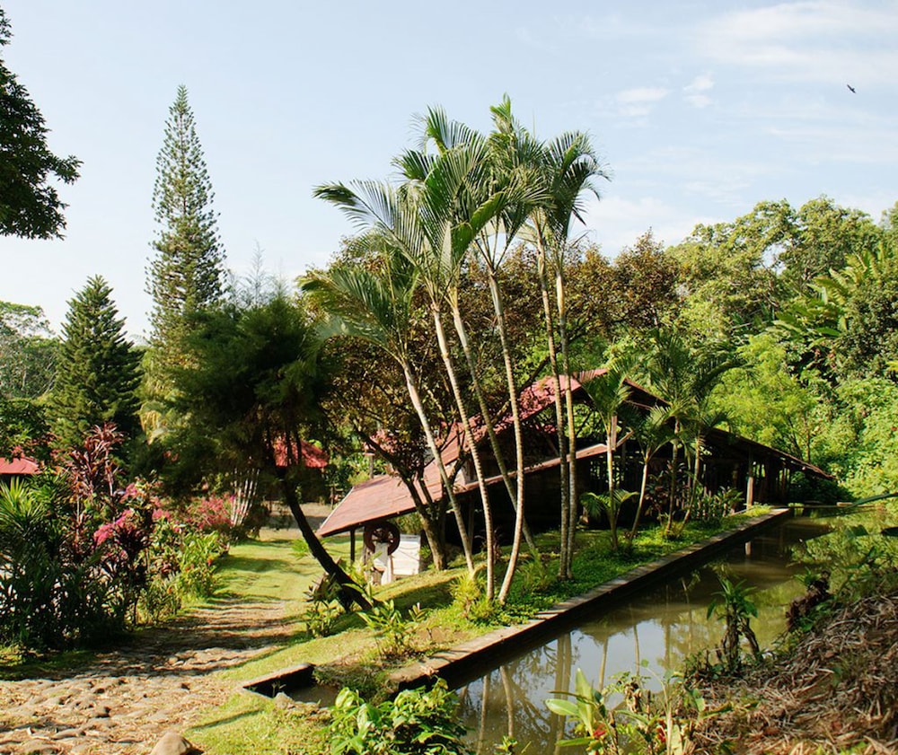 Photo 9