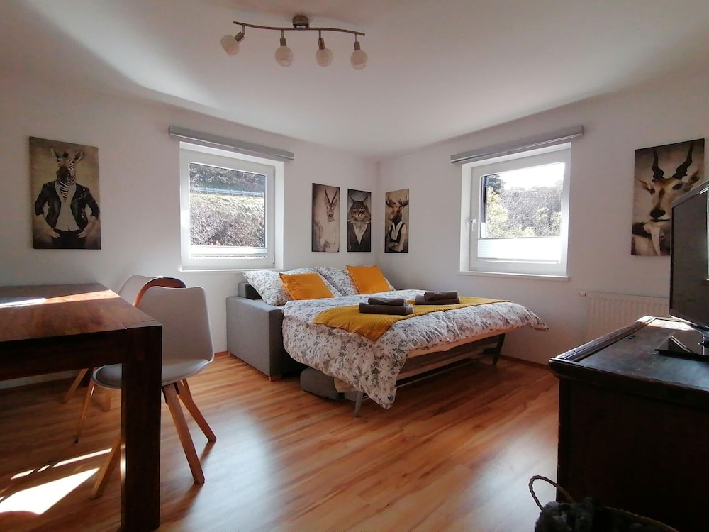 Apartment in Dienten Near Gabuhel Ski Lift