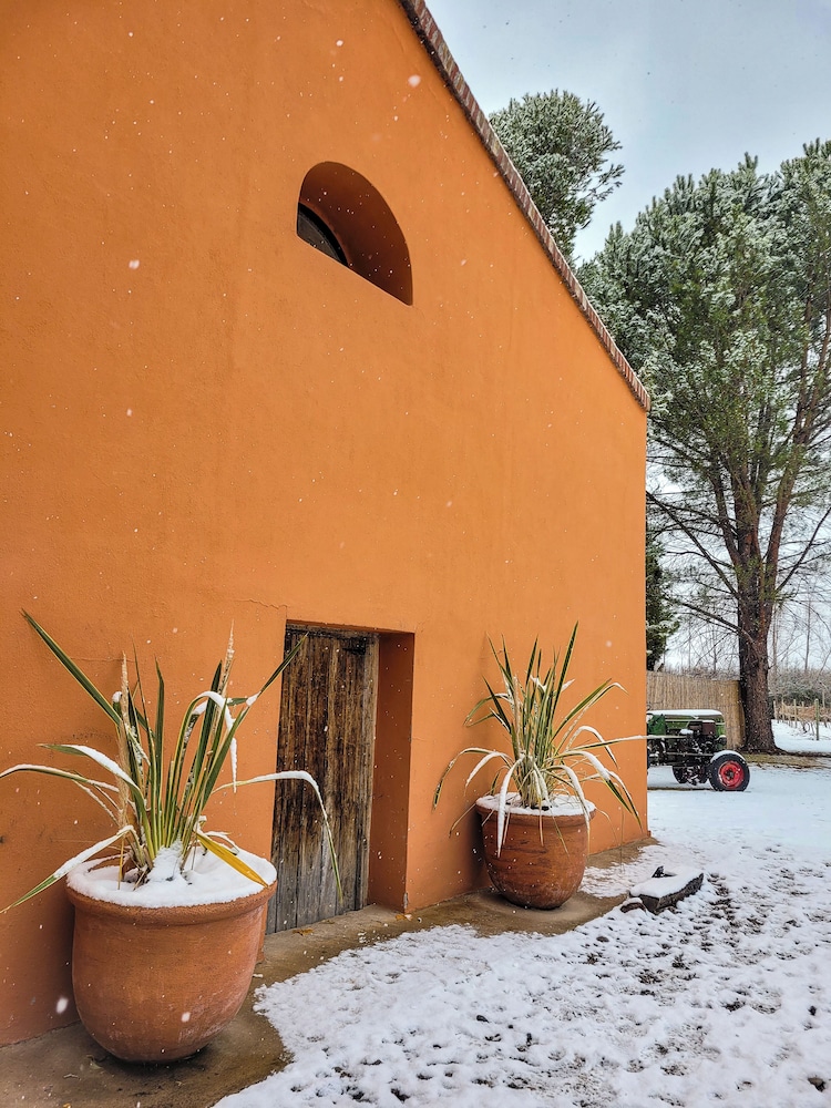 Finca La Saucina